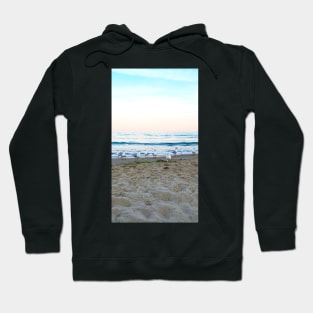 Seagulls sit on the beach Hoodie